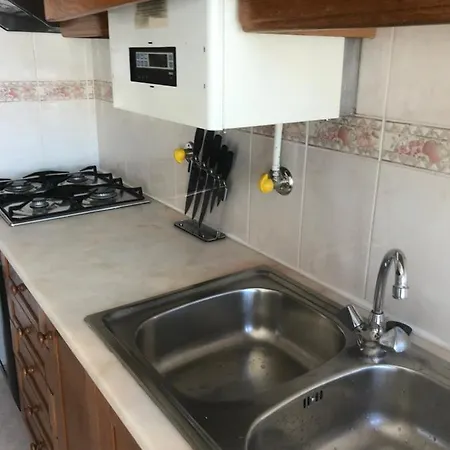 Miguel Torga Gold Ii