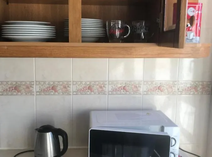 Miguel Torga Gold Ii 코임브라