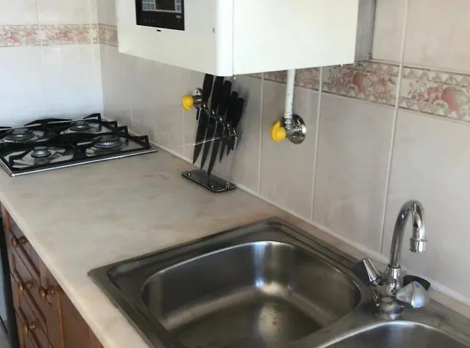 Miguel Torga Gold Ii